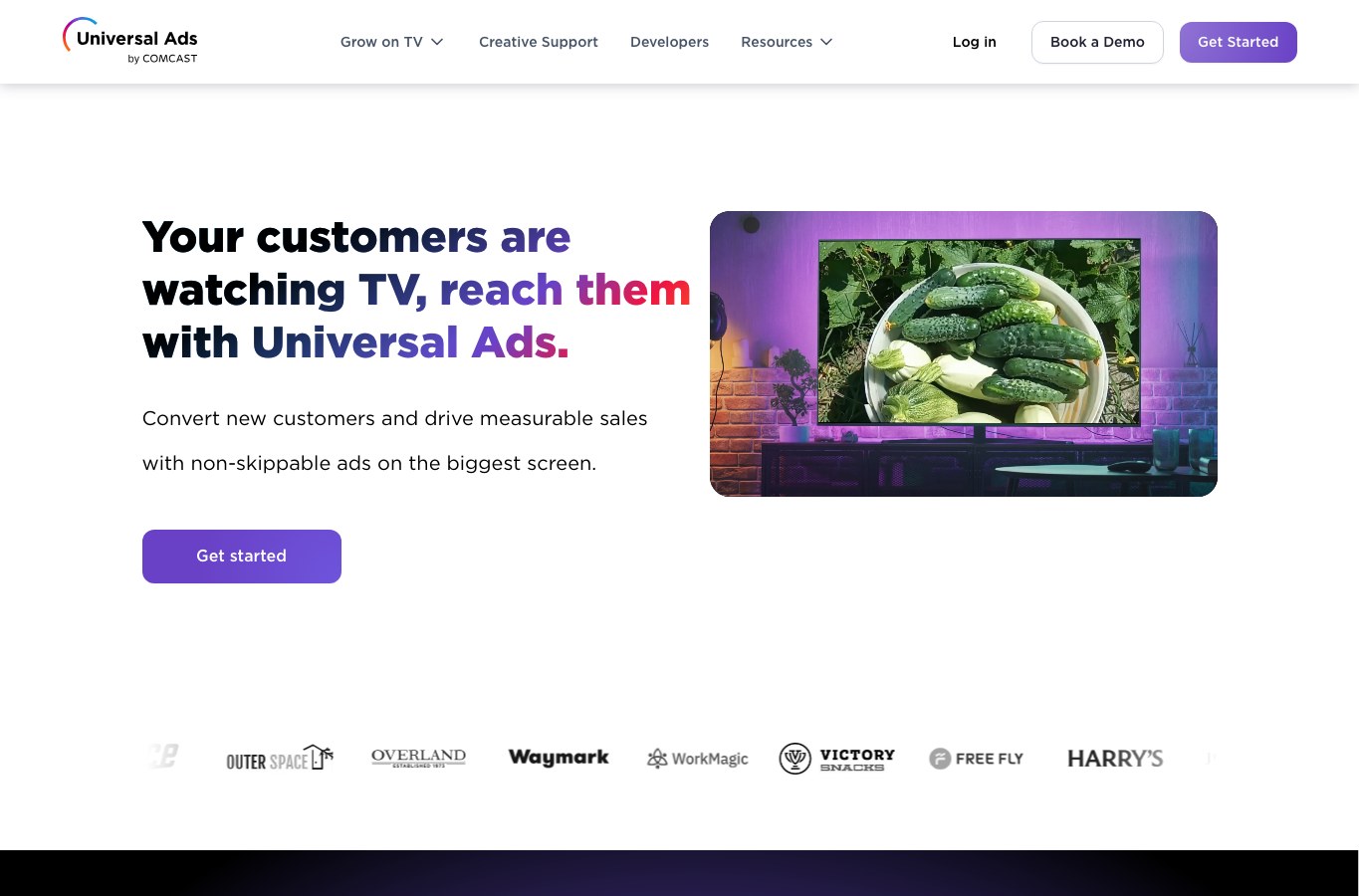 Universal public homepage capture